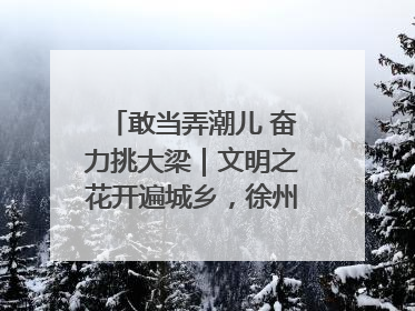 敢当弄潮儿 奋力挑大梁｜文明之花开遍城乡，徐州以昂扬风貌冲刺“万亿之城”