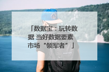 数据宝：玩转数据 当好数据要素市场“领军者”