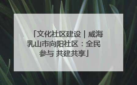 文化社区建设｜威海乳山市向阳社区：全民参与 共建共享