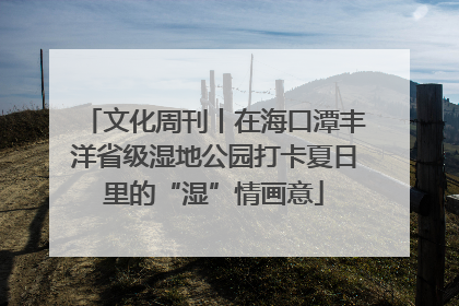 文化周刊丨在海口潭丰洋省级湿地公园打卡夏日里的“湿”情画意