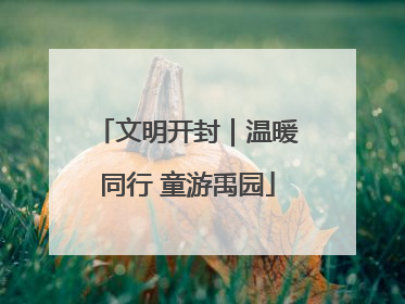 文明开封｜温暖同行 童游禹园