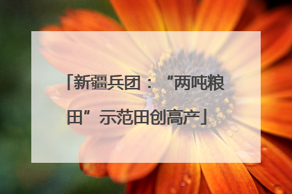 新疆兵团：“两吨粮田”示范田创高产