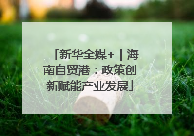 新华全媒+｜海南自贸港：政策创新赋能产业发展
