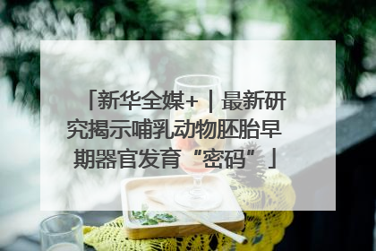 新华全媒+｜最新研究揭示哺乳动物胚胎早期器官发育“密码”
