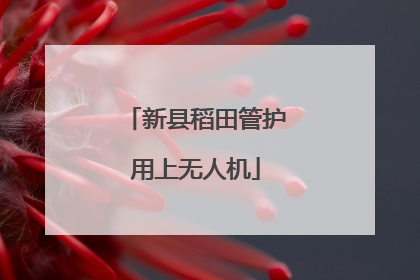 新县稻田管护用上无人机