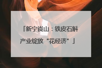 新宁崀山：铁皮石斛产业绽放“花经济”