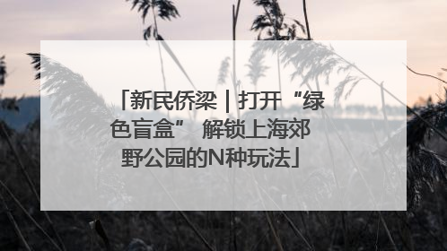 新民侨梁｜打开“绿色盲盒” 解锁上海郊野公园的N种玩法