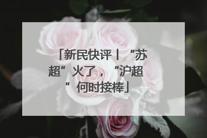 新民快评丨“苏超”火了，“沪超”何时接棒