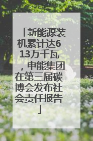 新能源装机累计达613万千瓦，申能集团在第三届碳博会发布社会责任报告