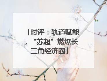 时评：轨道赋能，“苏超”燃爆长三角经济圈