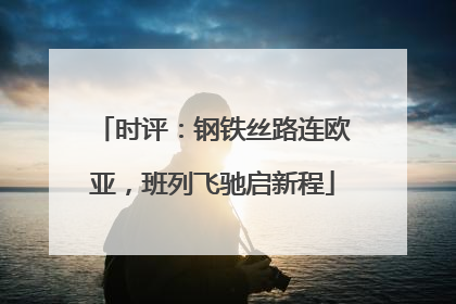 时评：钢铁丝路连欧亚，班列飞驰启新程