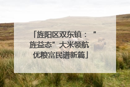 旌阳区双东镇：“旌益态”大米领航 优粮富民谱新篇