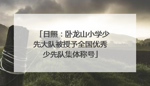 日照：卧龙山小学少先大队被授予全国优秀少先队集体称号