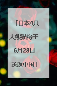 日本4只大熊猫将于6月28日送返中国