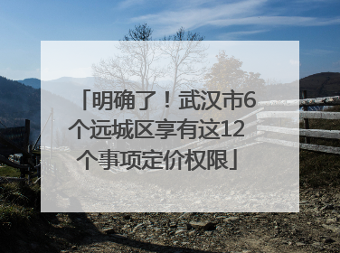 明确了！武汉市6个远城区享有这12个事项定价权限