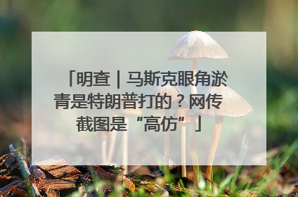 明查｜马斯克眼角淤青是特朗普打的？网传截图是“高仿”