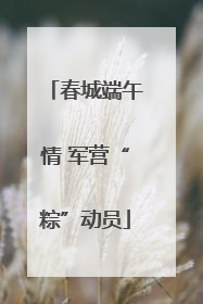 春城端午情 军营“粽”动员