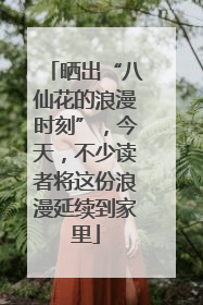 晒出“八仙花的浪漫时刻”，今天，不少读者将这份浪漫延续到家里