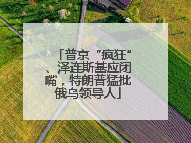 普京“疯狂”、泽连斯基应闭嘴，特朗普猛批俄乌领导人