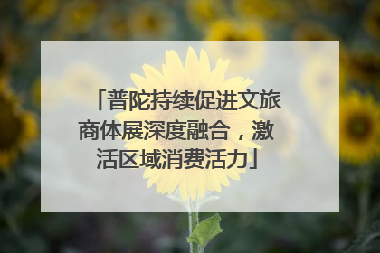 普陀持续促进文旅商体展深度融合，激活区域消费活力