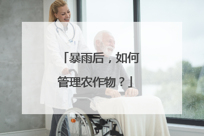 暴雨后，如何管理农作物？