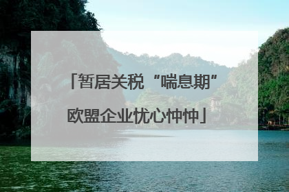 暂居关税“喘息期” 欧盟企业忧心忡忡