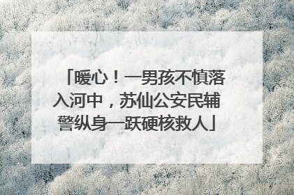 暖心！一男孩不慎落入河中，苏仙公安民辅警纵身一跃硬核救人
