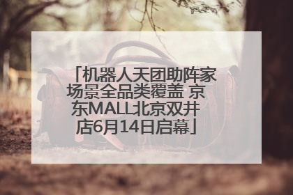 机器人天团助阵家场景全品类覆盖 京东MALL北京双井店6月14日启幕