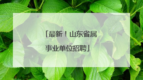 最新！山东省属事业单位招聘