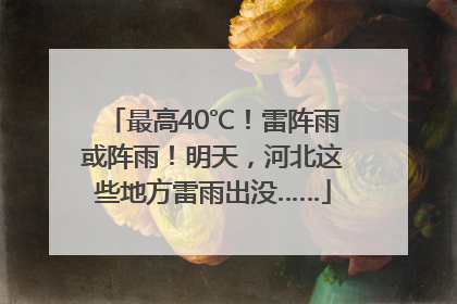最高40℃！雷阵雨或阵雨！明天，河北这些地方雷雨出没……