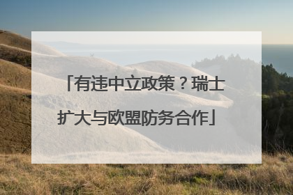 有违中立政策？瑞士扩大与欧盟防务合作