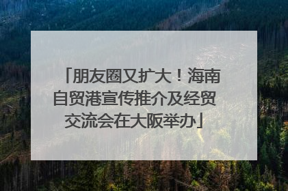 朋友圈又扩大！海南自贸港宣传推介及经贸交流会在大阪举办
