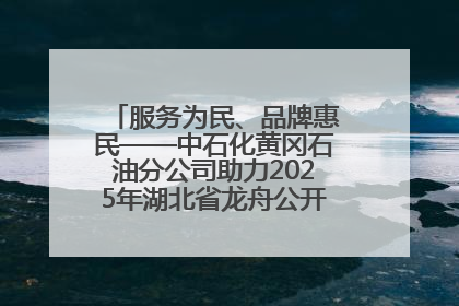 服务为民、品牌惠民——中石化黄冈石油分公司助力2025年湖北省龙舟公开赛（黄冈站）