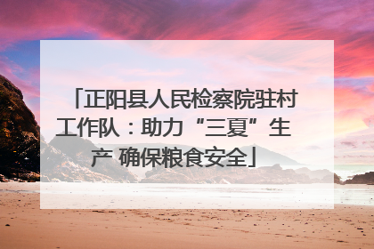 正阳县人民检察院驻村工作队：助力“三夏”生产 确保粮食安全