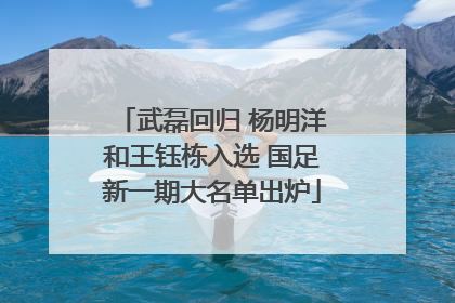 武磊回归 杨明洋和王钰栋入选 国足新一期大名单出炉