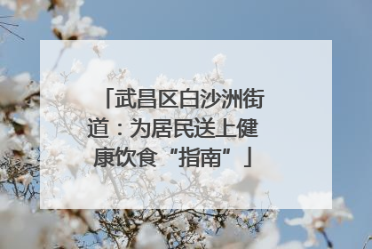 武昌区白沙洲街道：为居民送上健康饮食“指南”