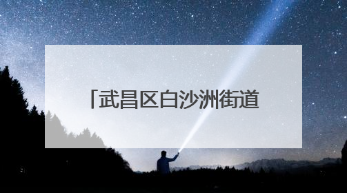 武昌区白沙洲街道：清理沿岸垃圾 “扮靓”长江母亲河