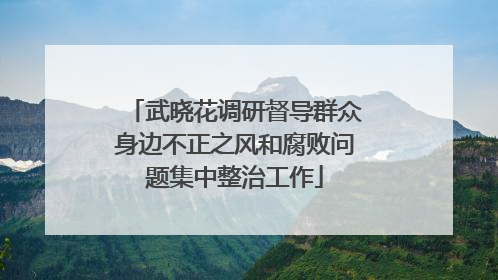 武晓花调研督导群众身边不正之风和腐败问题集中整治工作