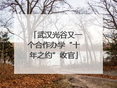武汉光谷又一个合作办学“十年之约”收官