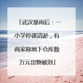 武汉暴雨后：一小学停课清淤，有商家称地下仓库数万元货物被泡