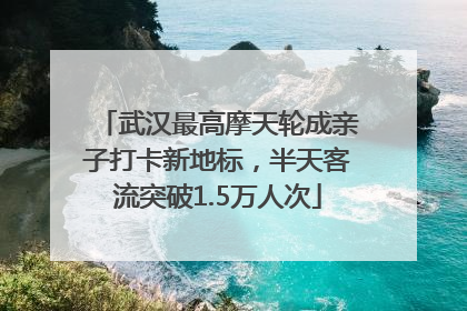 武汉最高摩天轮成亲子打卡新地标，半天客流突破1.5万人次