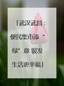 武汉武昌：便民集市添“绿”意 银发生活更幸福