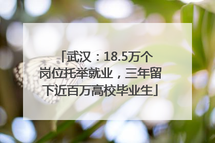 武汉：18.5万个岗位托举就业，三年留下近百万高校毕业生