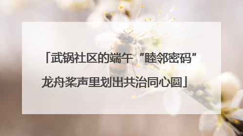 武锅社区的端午“睦邻密码”龙舟桨声里划出共治同心圆