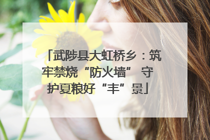 武陟县大虹桥乡：筑牢禁烧“防火墙” 守护夏粮好“丰”景