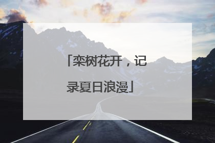 栾树花开，记录夏日浪漫