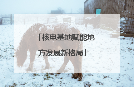 核电基地赋能地方发展新格局
