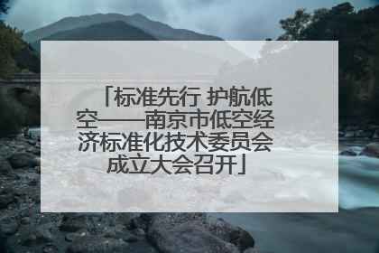 标准先行 护航低空——南京市低空经济标准化技术委员会成立大会召开