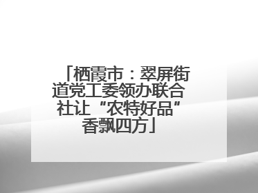 栖霞市：翠屏街道党工委领办联合社让“农特好品”香飘四方