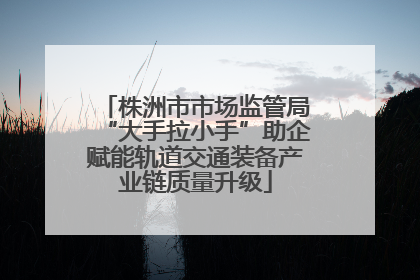 株洲市市场监管局“大手拉小手”助企赋能轨道交通装备产业链质量升级